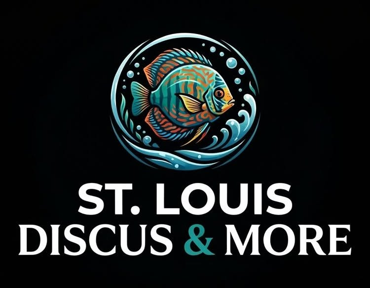 St. Louis Discus & More